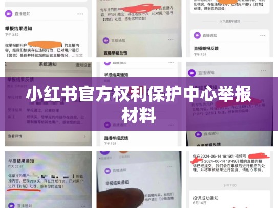 小红书官方权利保护中心举报材料