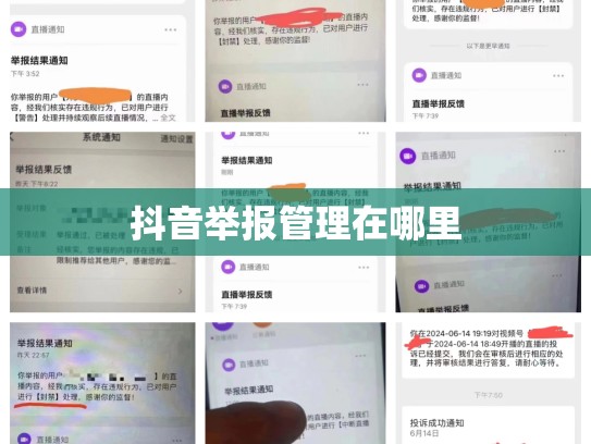 抖音举报管理在哪里