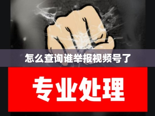 怎么查询谁举报视频号了