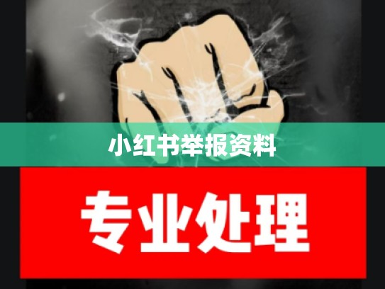 小红书举报资料