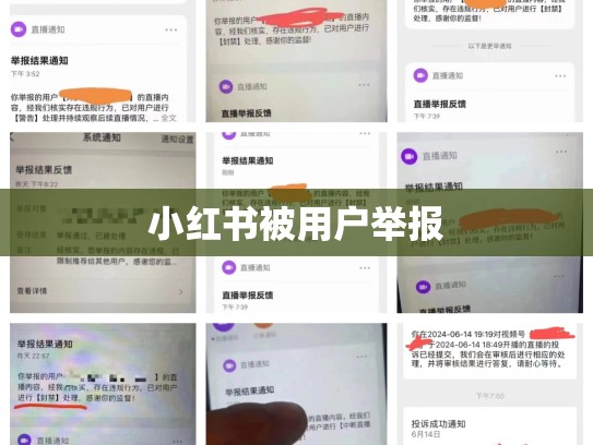 小红书被用户举报