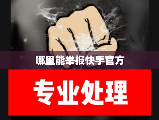 哪里能举报快手官方
