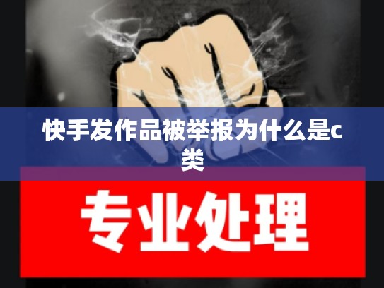 快手发作品被举报为什么是c类
