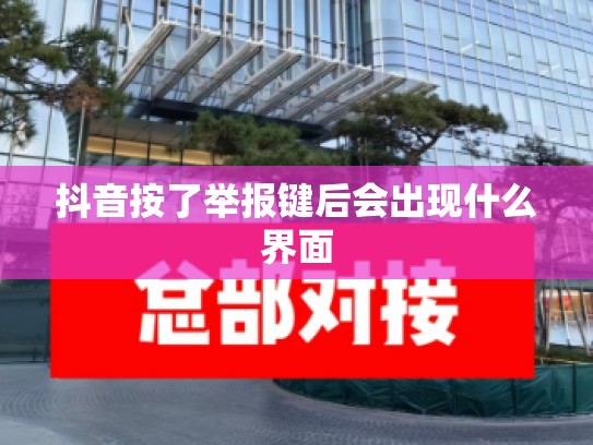抖音按了举报键后会出现什么界面