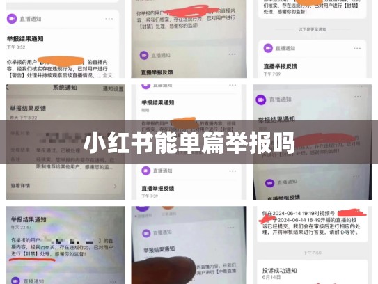 小红书能单篇举报吗