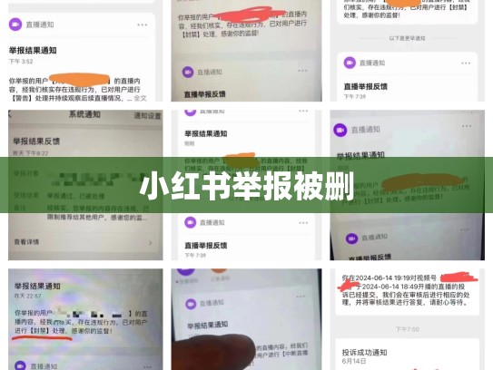 小红书举报被删