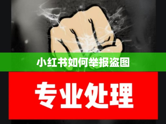 小红书如何举报盗图