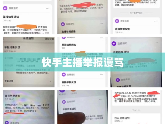 快手主播举报谩骂