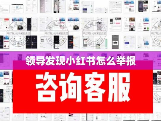领导发现小红书怎么举报