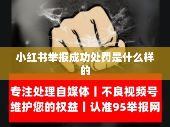 小红书举报成功处罚是什么样的