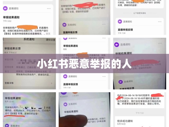 小红书恶意举报的人