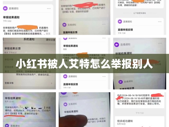 小红书被人艾特怎么举报别人