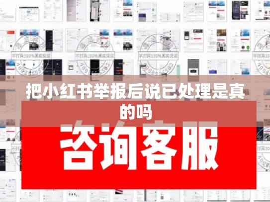 把小红书举报后说已处理是真的吗