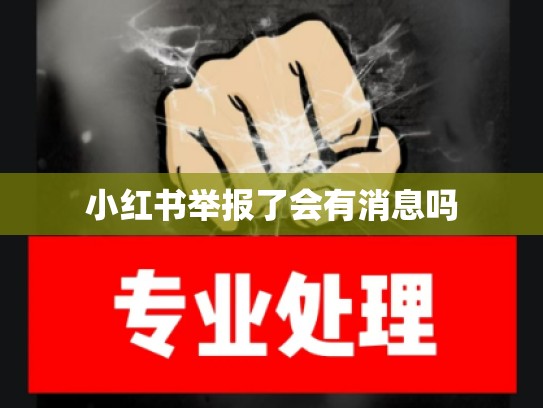 小红书举报了会有消息吗