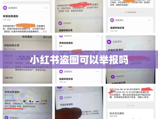 小红书盗图可以举报吗
