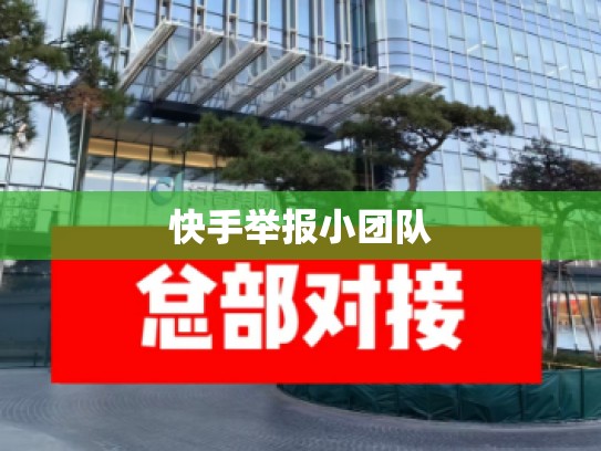 快手举报小团队