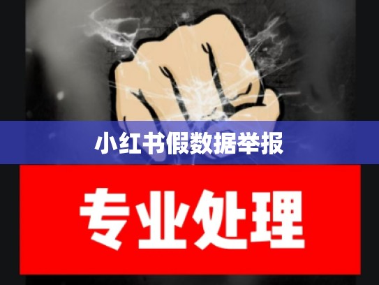 小红书假数据举报