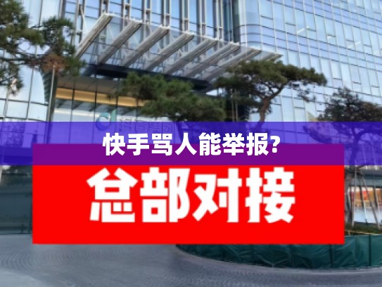 快手骂人能举报?