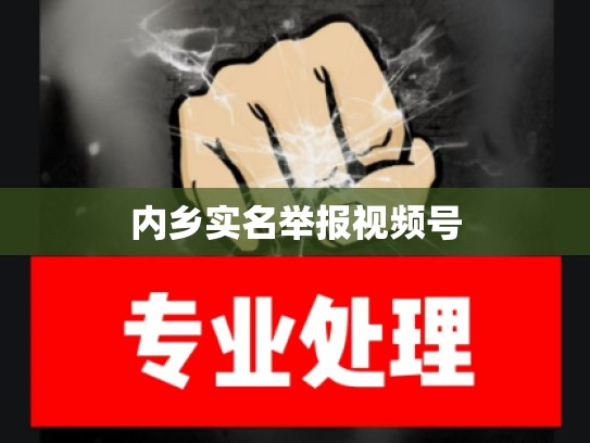 内乡实名举报视频号