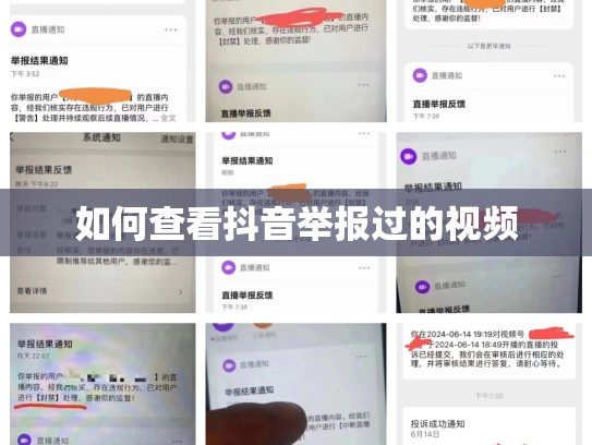 如何查看抖音举报过的视频
