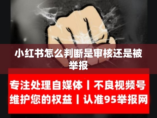 小红书怎么判断是审核还是被举报