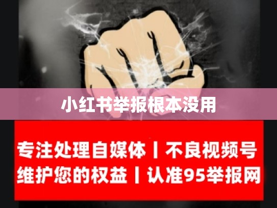 小红书举报根本没用