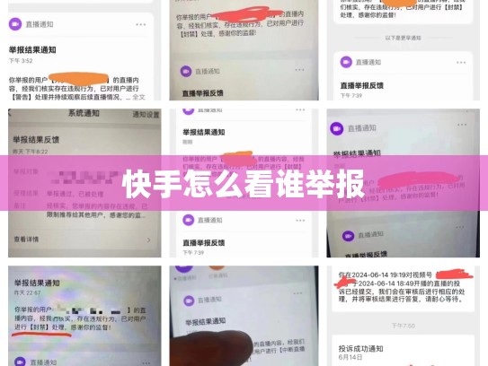 快手怎么看谁举报