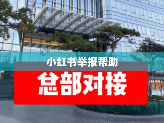 小红书举报帮助