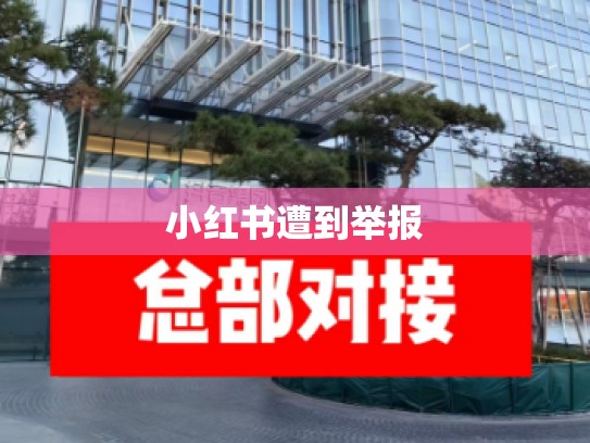 小红书遭到举报
