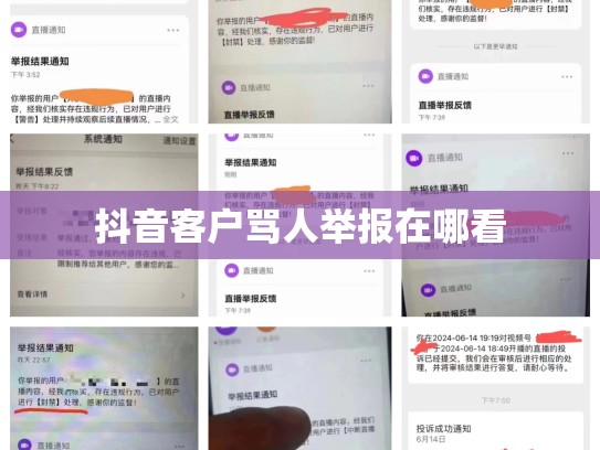 抖音客户骂人举报在哪看