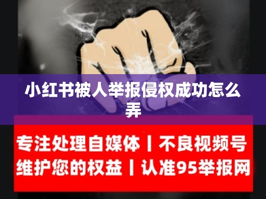 小红书被人举报侵权成功怎么弄