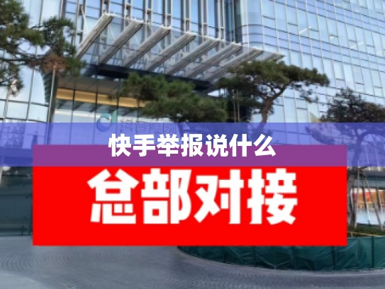 快手举报说什么