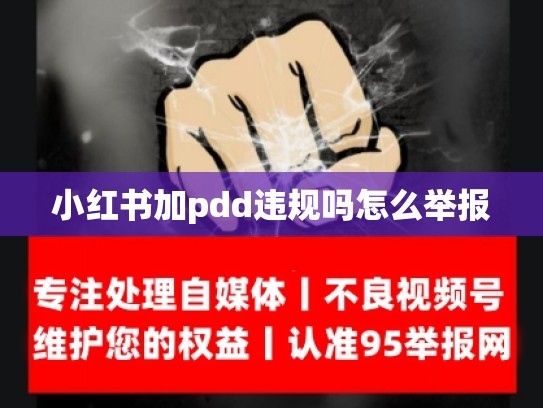 小红书加pdd违规吗怎么举报