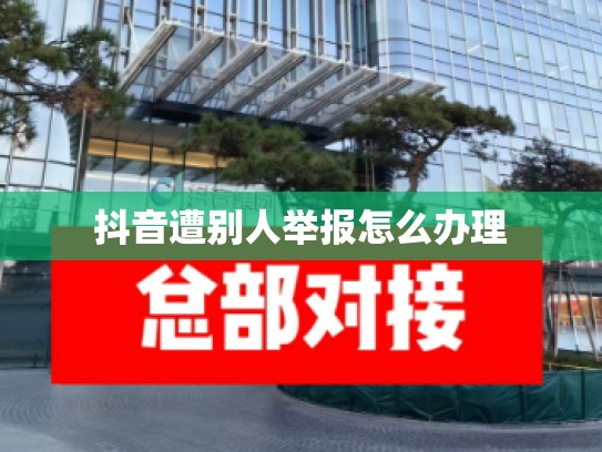 抖音遭别人举报怎么办理