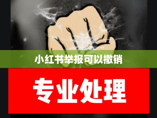 小红书举报可以撤销
