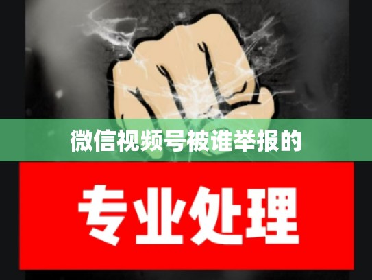 微信视频号被谁举报的