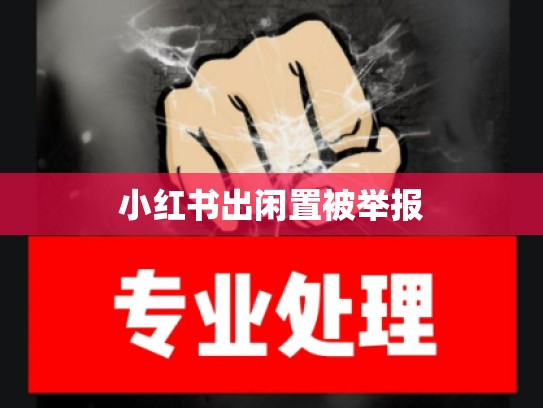 小红书出闲置被举报