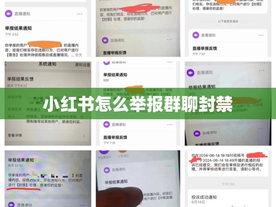 小红书怎么举报群聊封禁