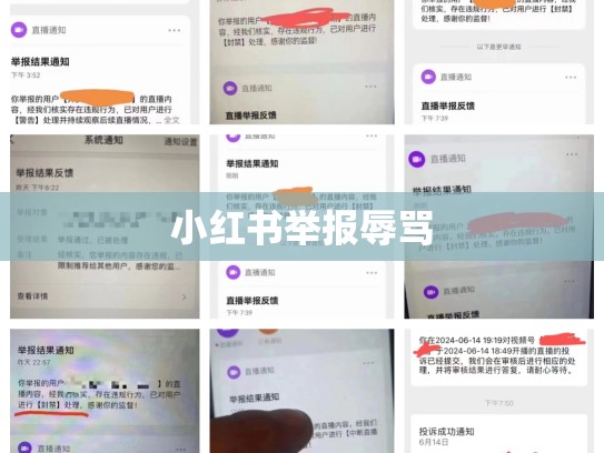 小红书举报辱骂