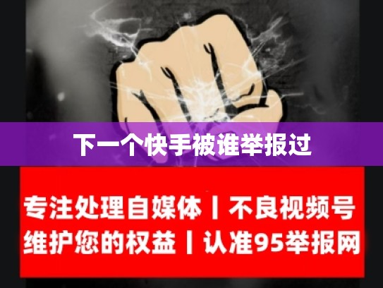 下一个快手被谁举报过