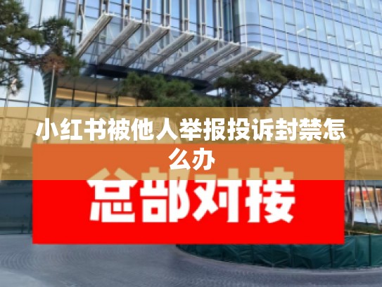 小红书被他人举报投诉封禁怎么办