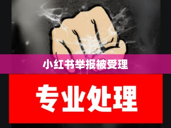 小红书举报被受理