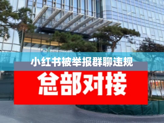 小红书被举报群聊违规