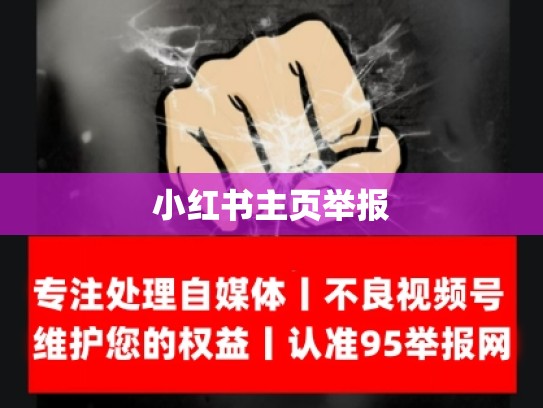 小红书主页举报