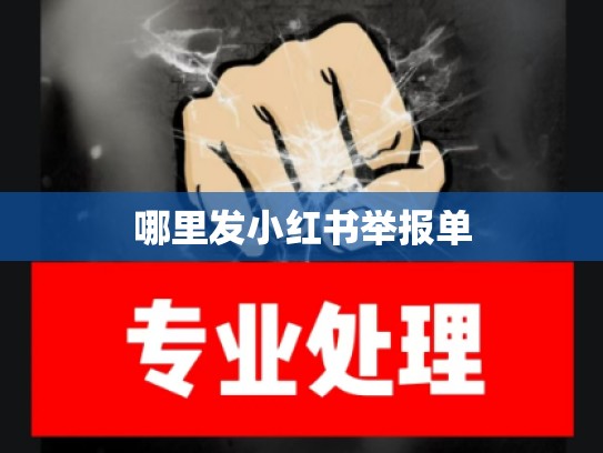 哪里发小红书举报单