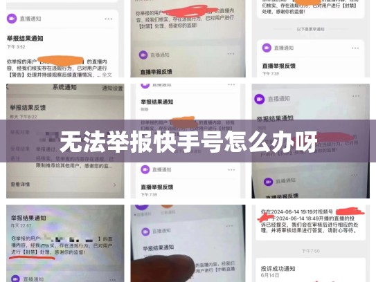 无法举报快手号怎么办呀