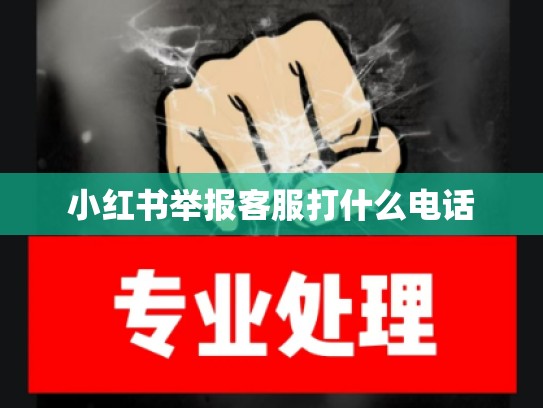 小红书举报客服打什么电话