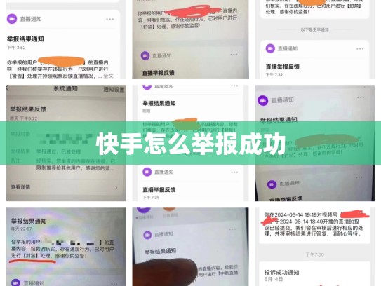 快手怎么举报成功
