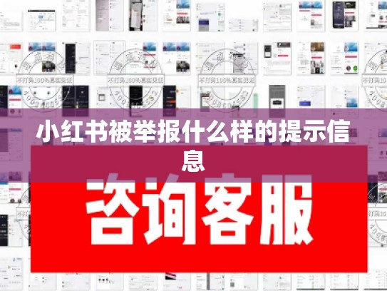 小红书被举报什么样的提示信息