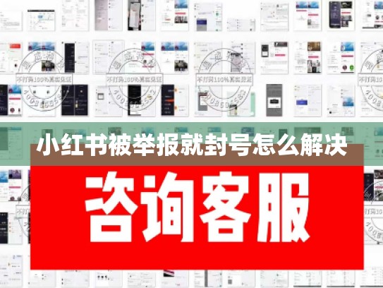 小红书被举报就封号怎么解决